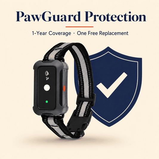 PawGuard - 1-Year Protection Plan